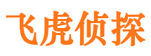 武城市婚姻调查